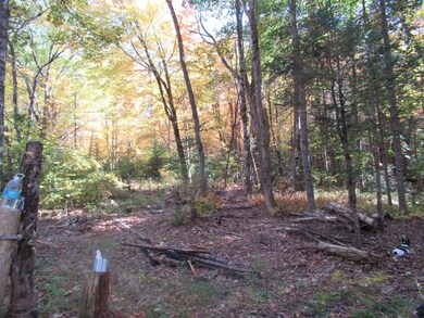 51 Edgar Albert Rd, Rumney, NH 03266 - photo 2