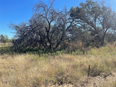 708 Safe Harbor, Brownwood, TX 76801 - photo 2