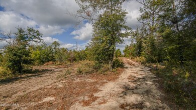 12299 Nona Wood Rd, Fountain, FL 32438 - photo 4