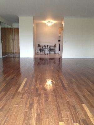 8045 Oconnor Dr unit 2C, River Grove, IL 60171 - photo 4