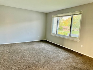 906 Blackhawk Dr, University Park, IL 60484 - photo 5