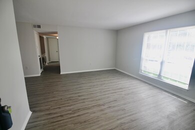 Large Livingroom