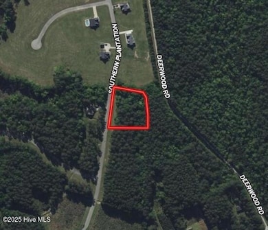 636 Southern Plantation Dr S, Oriental, NC 28571 - photo 4