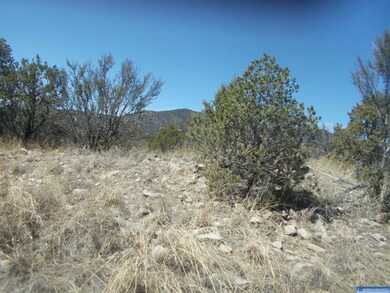 xx Oxbow, Silver City, NM 88061 - photo 3