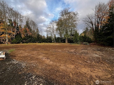 30 Porter Creek Rd, Elma, WA 98541 - photo 5