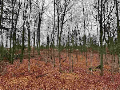 Lot 36 Fairway Dr, Pickerel, WI 54465 - photo 2