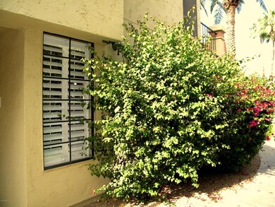 9707 E Mountain View Rd unit 1410, Scottsdale, AZ 85258 - photo 6