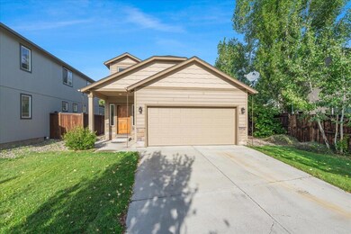 02-61131 Brown Trout Pl-1