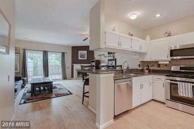 7141 Cold Spring Place, Alexandria, VA 22306 - photo 3