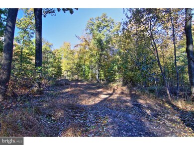 28 Woods Ln, Barto, PA 19504 - photo 3