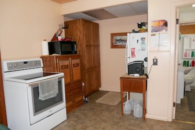 1125 Railroad St, Rib Lake, WI 54470 - photo 3