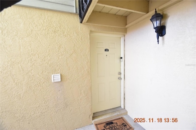 228 Thorn Tree Place, Brandon, FL 33510 - photo 4