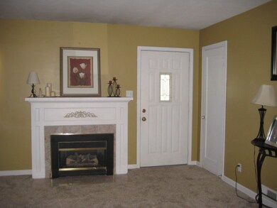 Decorative fireplace, front door, entry closet.