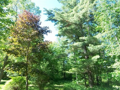 28340 Fox Rd, Webster, WI 54893 - photo 6