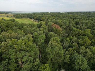 2750 Nortonville Rd, Franklin, IL 62638 - photo 6