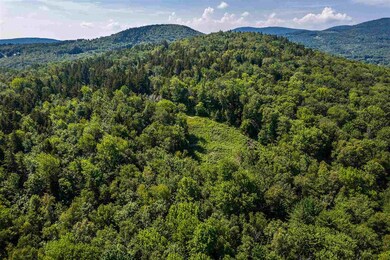 06 Turtle Hill Rd unit 6, Ludlow, VT 05149 - photo 5