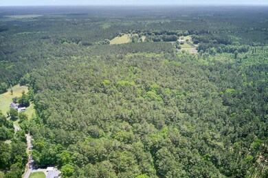 Drone View