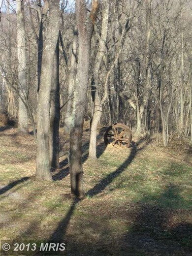 4875 River Rd, Shepherdstown, WV 25443 - photo 5