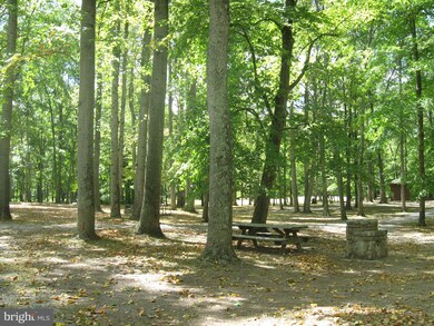 0 Sideling Mtn 93a unit WVMO116038, Great Cacapon, WV 25422 - photo 4
