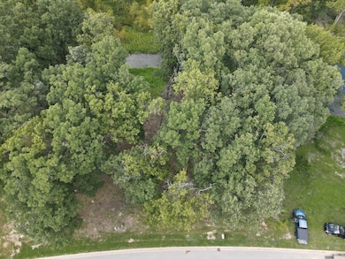 735 Druim Tr, Crown Point, IN 46307 - photo 6