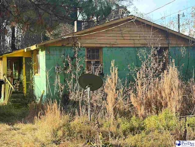 4420 Hollyberry Ln, Florence, SC 29501 - photo 4