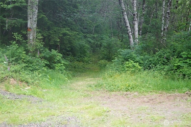 A trail has been brushed out to the ridgeline.