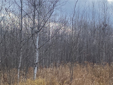 Near Timber Rd, Catawba, WI 54515 - photo 2