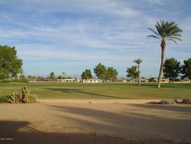BACK YARD VIEW