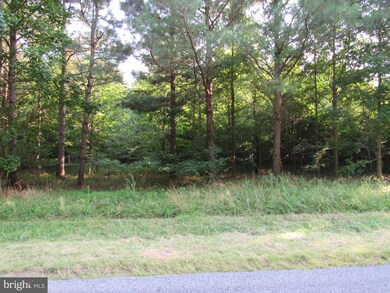 0 Hardscrabble Rd unit DESU2004450, Georgetown, DE 19947 - photo 4