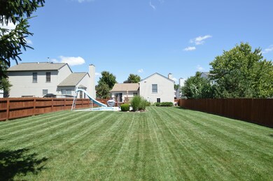 Back yard 4