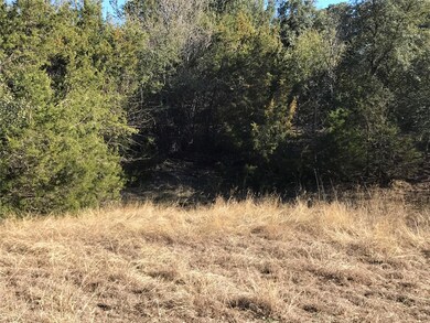 42038 Bay Hill Dr, Whitney, TX 76692 - photo 4