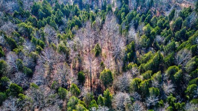 0 Lancaster Rd, Branchville, IN 47514 - photo 7