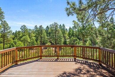 6228 Wildcat Trail S, Show Low, AZ 85901 - photo 6