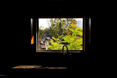 Kitchen Window
