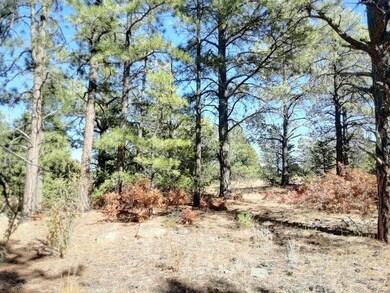 Lot 8, meadow