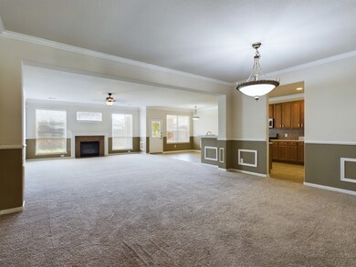 Huge Open Floor Plan