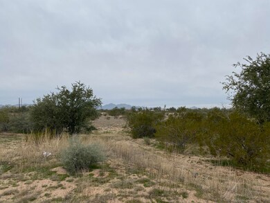 IMG_1163