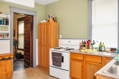 729 N Chestnut St, Lansing, MI 48906 - photo 5