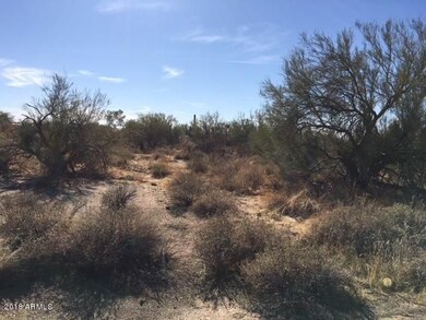 Native Desert