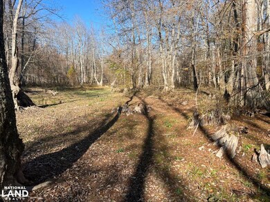 0 Hayes Crossing Rd unit 25566057, Millport, AL 35576 - photo 5