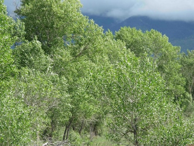 TBD Vacant Land St, Villa Grove, CO 81155 - photo 4