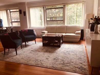 Hammond Park Condominiums unit 202, Chestnut Hill, MA 02467 - photo 3