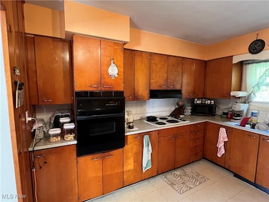 1805 W 19th St, Ashtabula, OH 44004 - photo 4