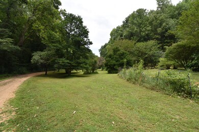 1623 Tennessee 128, Linden, TN 37096 - photo 2