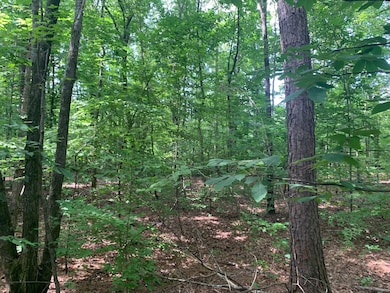 0 Candy Ln unit 10199196, Stantonville, TN 38379 - photo 7