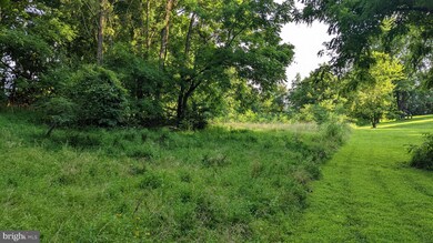 0 Twymans Mill Rd unit VAMA2000686, Orange, VA 22960 - photo 3