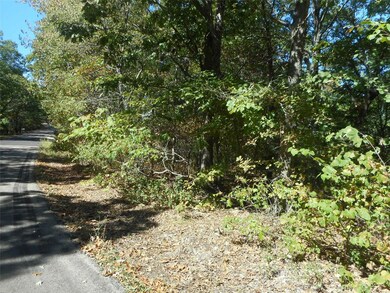 232 Buzzard Rock Rd, Farmington, MO 63640 - photo 7