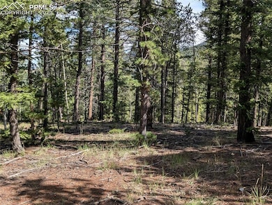 60 Fluorite Ln, Midland, CO 80814 - photo 2