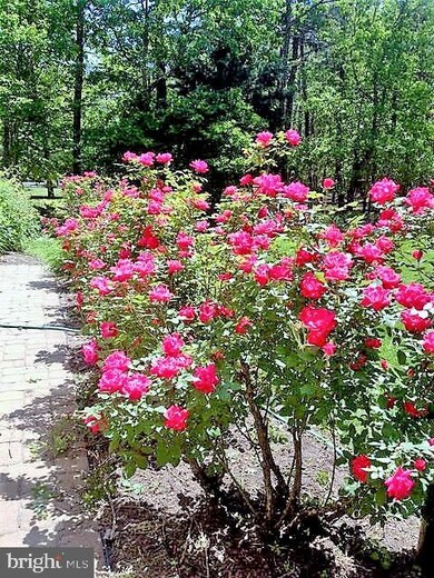 9 Eton Ln, Medford, NJ 08055 - photo 6