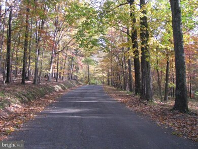 0 Spring Gap Rd unit 1004622236, Slanesville, WV 25444 - photo 2